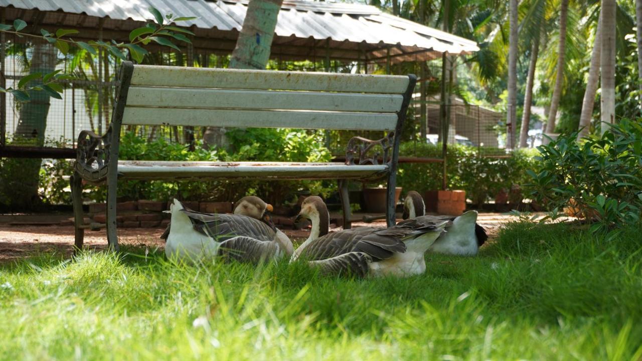 Rk Resorts Karaikal Bagian luar foto